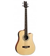 Bajos acústicos y semiacústicos Bajos acústicos y semiacústicos